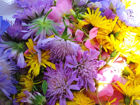 Blüten